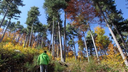 "L'accès à la nature démontre des&nbsp;bénéfices sur notre santé physique et mentale, notamment au plan immunitaire, en faisant baisser le stress et l'anxiété". (photo d'illustration). (PASCAL POCHARD CASABIANCA / AFP)