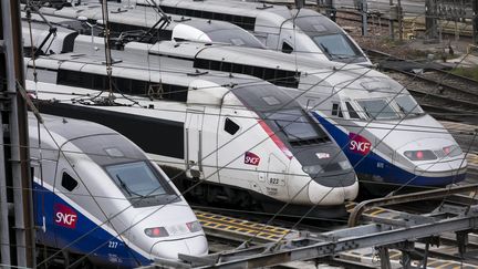 Des TGV sur des voies de triage, le 9 avril 2018. (VINCENT ISORE / MAXPPP)