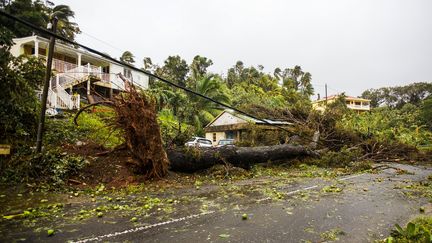 Ouragan Maria : d'importants dégâts matériels