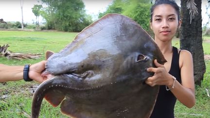 Ah Lin Tuch&nbsp;et son mari Phoun Raty ont cuisiné des espèces protégées. (NATURAL LIFE TV)