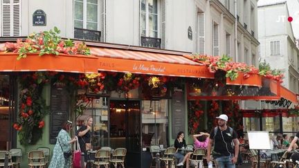 La mairie de Paris aimerait encadrer la mise en place des fleurs en plastique qui ornent certains commerces de la capitale. (France 2)