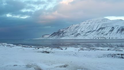 Arctique : les images de fonte de la banquise