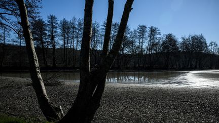 Le niveau très bas du lac Fourcade, près de Saint-Nexans (Dordogne), le 14 février 2023. (PHILIPPE LOPEZ / AFP)