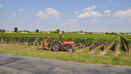 &nbsp; (Pesticides à Preignac : les médecins veulent une enquête approfondie © Radio France - Xavier Ridon)