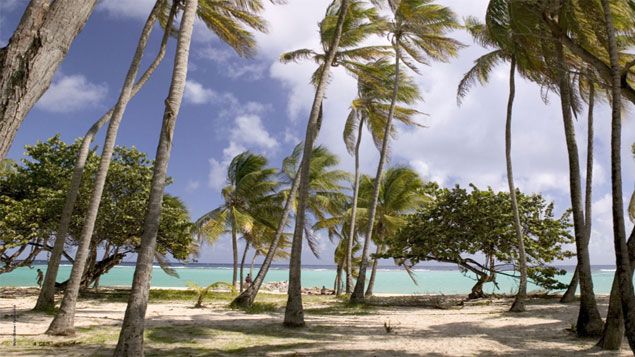 &nbsp; (A Capesterre, la reine des plages a préservé sa tranquillité, une des plus belles étendues de sable de Marie-Galante © Géo)