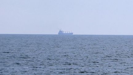 Le cargo "Razoni", transportant 26 000 tonnes de maïs ukrainien, quitte le port d'Odessa en direction de Tripoli, au Liban, le 1er août 2022. (VLADIMIR SHTANKO / ANADOLU AGENCY / AFP)