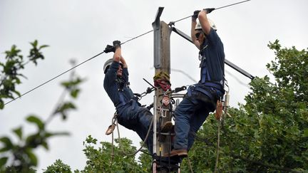 Des agents d'ERDF r&eacute;parent une ligne &eacute;lectrique, le 22 mai 2014.&nbsp; (  MAXPPP)