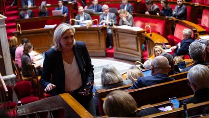 La présidente du groupe RN à l'Assemblée nationale, Marine Le Pen, dans l'hémicycle, le 28 novembre 2024. (AMAURY CORNU / HANS LUCAS / AFP)