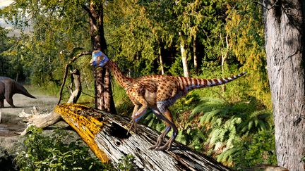 Un oviraptor,&nbsp;un petit dinosaure théropode qui vivait il y a entre 80 et 70 millions d'années avant J.-C., à&nbsp;la fin du Crétacé. (JULIUS CSOTONYI / AFP)