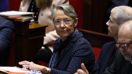 Elisabeth Borne, la Première ministre, à l'Assemblée nationale, le 17 janvier 2023. (THOMAS SAMSON / AFP)