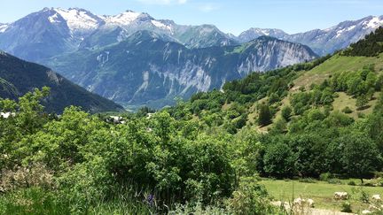 La montagne, le nouvel endroit à la mode pour passer ses vacances d'été. (STÉPHANE MILHOMME / FRANCEINFO)