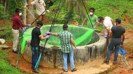 Des fonctionnaires indiens inspectent un puits à la recherche de chauve-souris infectées par le virus Nipah, le 21 mai 2018 au Kerala, en Inde. (AFP)