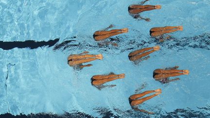 L'&eacute;quipe &eacute;gyptienne de natation synchronis&eacute;e s'entra&icirc;ne avant le d&eacute;but des &eacute;preuves aux championnats du monde &agrave; Barcelone (Espagne), le 17 juillet 2013. (ALBERT GEA / REUTERS)