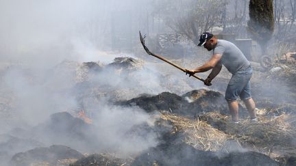 Un homme tente d'éteindre des braises fumantes, le 11 août 2016, dans les environs de Vitrolles (Bouches-du-Rhône). (MAXPPP)