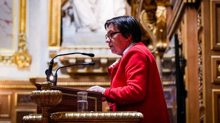 La sénatrice LR de la Charente-Maritime Corinne Imbert s'exprime dans l'hémicycle du Sénat, à Paris, le 14 février 2023. (AMAURY CORNU / HANS LUCAS / AFP)