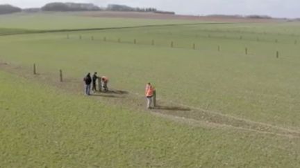 En cinquante ans, 70 % des haies françaises ont disparu. Elles sont de nouveau plantées, pour divers usages liés à la biodiversité. (FRANCE 2)