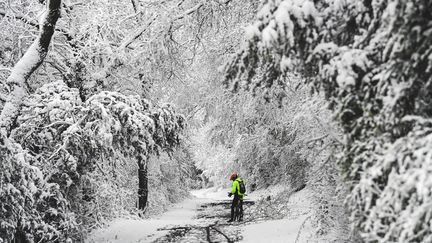 Un cycliste tente d'emprunter un chemin enneigé, le 1er avril 2022, à Lyon (Rhône). (OLIVIER CHASSIGNOLE / AFP)