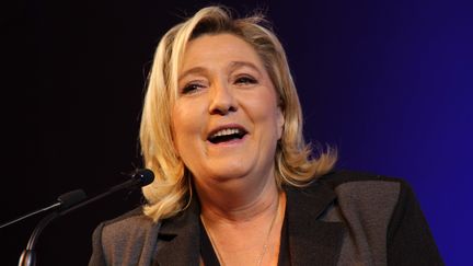 Élections régionales 2015 : le FN monte en puissance