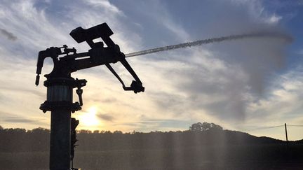  (Les agriculteurs ne peuvent pas irriguer correctement leurs exploitations dans le Tarn-et-Garonne © RF/Aurélien Accart)