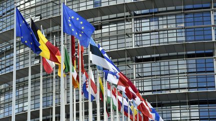 Le parlement européen de Strasbourg et les drapeaux des Etats membres en avril 2019. (ALEXANDRE MARCHI / MAXPPP)