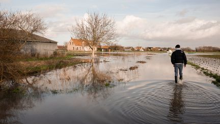 Un homme marche sur les terres inondées de Saint-Omer (Pas-de-Calais), le 4 janvier 2024. (AMEER ALHALBI / ANADOLU / AFP)