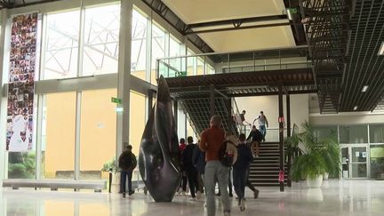 L'École polytechnique a lancé une enquête sur les violences sexuelles ou sexistes. Au total, 23,1% des femmes&nbsp;auraient été victimes d'agressions sexuelles. (CAPTURE ECRAN FRANCE 2)