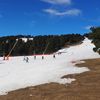 Une piste de la station de ski de Font-Romeu (Pyrénées-Orientales) ouverte grâce à ses nombreux canons à neige, comme ici le 7 février 2024. (PAOLO PHILIPPE / FRANCEINFO)