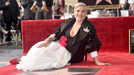 Pink assise devant son étoile sur le Hollywood Walk of Fame (5 février 2019)
 (Alberto E. Rodriguez / Getty Images / AFP)