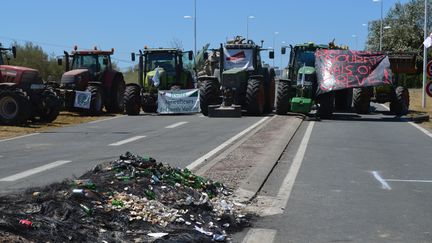 Des agriculteurs bloquent le pont qui relie Marennes &agrave; l'&icirc;le d'Ol&eacute;ron (Charente-Maritime) le 23 juillet 2015. (CITIZENSIDE / FABRICE RESTIER / AFP)