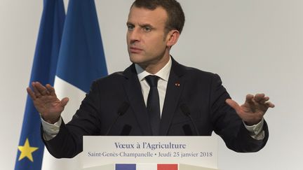 Emmanuel Macron, le 25 janvier 2018, lors de ses vœux aux agriculteurs, à&nbsp;Saint-Genès-Champanelle (Puy-de-Dôme). (THIERRY ZOCCOLAN / POOL)