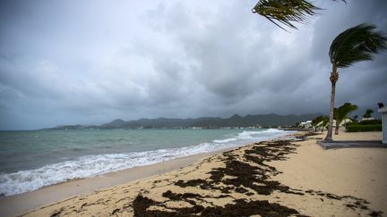 Une plage de Marigot, sur l'île de Saint-Martin, à l'approche de l'ouragan Irma, le 5 septembre 2017.&nbsp; (LIONEL CHAMOISEAU / AFP)