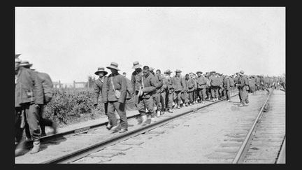 1917 , Camp Petawawa, Ontario
 (Bibliothèque et Archives Canada)