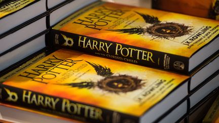 Des livres "Harry Potter". Photo d'illustration. (ANTHONY WALLACE / AFP)