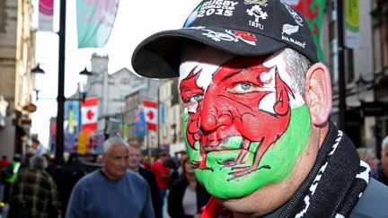 En tout cas, la peinture, m&ecirc;me tr&egrave;s finement r&eacute;alis&eacute;e comme sur le visage de ce supporter gallois, ne rend pas forc&eacute;ment plus aimable. (JAMES MARSH / BPI / REX SHU / SIPA)