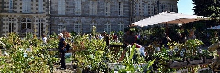 Les meilleurs pépiniéristes producteurs européens ont rendez-vous au Château du domaine de&nbsp;Saint-Jean-de-Beauregard jusqu'à dimanche soir. (Domaine de Saint-Jean-de-Beauregard)