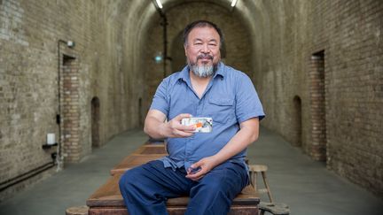 L'artiste Ai Wei pose dans son atelier à Berlin, le 6 août 2015
 (MICHAEL KAPPELER / DPA / dpa Picture-Alliance/AFP)