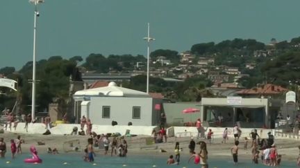 Bouches-du-Rhône : le retour des baigneurs à La Ciotat&nbsp; (FRANCE 3)