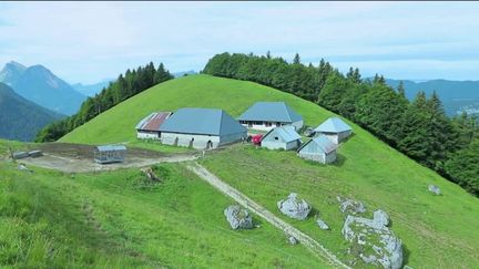 Lac d'Annecy : la tomme de Savoie, fabriquée dans les alpages