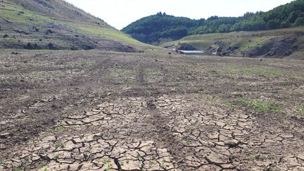 Barrage de la Sep&nbsp; victime du manque de pluie. Saint-Hilaire-la-Croix (Puy-de-Dôme), 21 août 2019. (JULIETTE MICHENEAU / FRANCE-BLEU PAYS D’AUVERGNE)