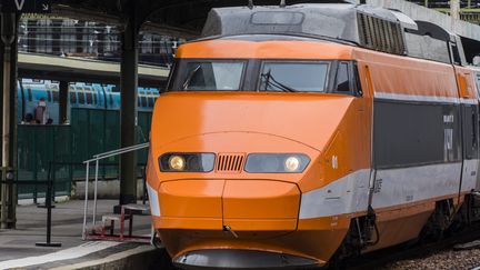 Le TGV "Patrick" en gare de Lyon, le premier train à grande vitesse. (VINCENT ISORE / MAXPPP)