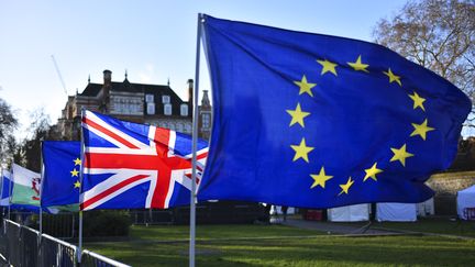 Des drapeaux européen et britannique disposés devant le Palais de Westminster, à Londres (Royaume-Uni), le 22 janvier 2019.&nbsp; (ALBERTO PEZZALI / NURPHOTO)