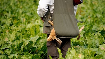 Chasse : ouverture de la saison dimanche