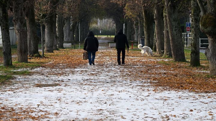 Deux personnes se promènent avec un chien dans une ruelle partiellement recouverte de neige à Soisy-sur-Seine (Essonne), le 14 décembre 2022. (EMMANUEL DUNAND / AFP)