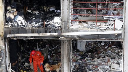 Un sauveteur et son chien inspectent les lieux du double attentat &agrave; la voiture pi&eacute;g&eacute;e &agrave; Reyhanli (Turquie), le 12 mai 2013. (UMIT BEKTAS / REUTERS)