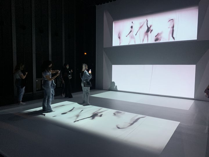 Oeuvre de&nbsp;Yiyun Kang diffusée sur l'un des murs de l'auditorium du centre culturel coréen à Paris.&nbsp; (JEREMIE LAURENT-KAYSEN)