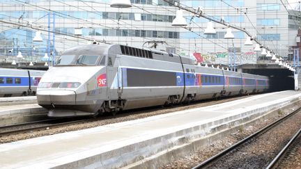 Un TGV &agrave; la gare Montparnasse, &agrave; Paris, le 17 juin 2014. (SAMBA / AFP)