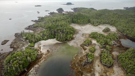 L'île Triquet, dans la province de Colombie-Britannique, dans le sud-ouest du Canada. (Keith Holmes / Hakai Institute)