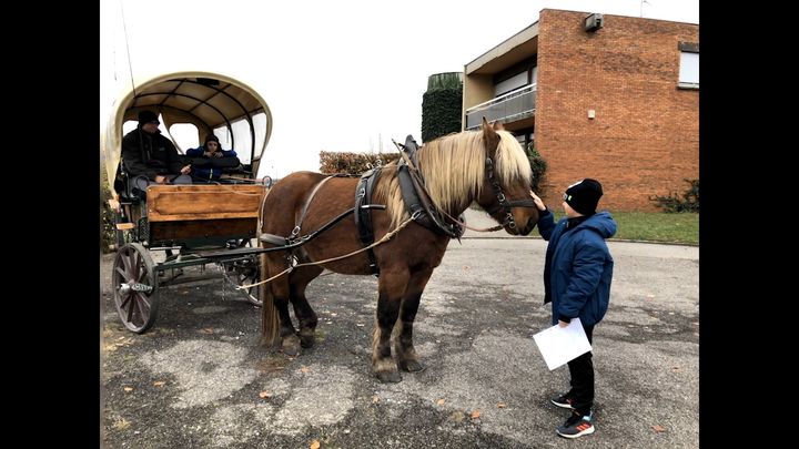 A Ungersheim, le ramassage scolaire s'effectue dans une calèche, tirée par Diabolo. (MATTHIEU MONDOLONI / RADIO FRANCE)