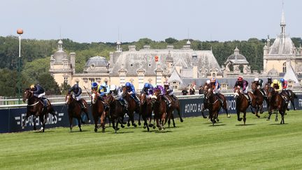 C'est Grégory Pieux, le fils du célèbre jockey Christophe Pieux, qui a porté plainte contre l'éleveur de 72 ans, José Bruneau de la Salle. (Photo d'illustration) (JACQUES DEMARTHON / AFP)