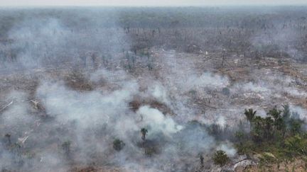 Depuis le début de l'année, la forêt tropicale Amazonie est en proie à de nombreux incendies. La fumée de ces intenses feux de forêt a gagné des mégalopoles brésiliennes.